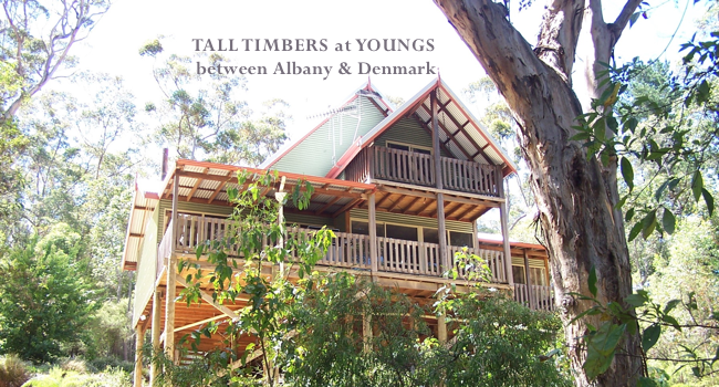 tall-timbers-at-youngs